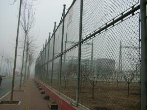 Wholesale 2x2 Galvanized Welded Chain Link Fence Panels For Gardon / Playground from china suppliers