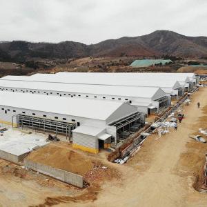 Wholesale Prefab Steel Structure Poultry House Environmental Controlled from china suppliers