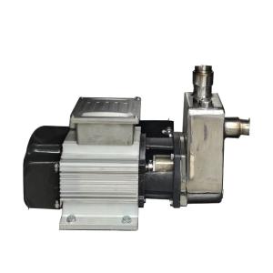 Wholesale Durable Bernet Stainless Def25s Adblue Pump Urea Pump for Def Dispenser from china suppliers