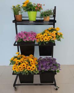 Wholesale Flower Bucket Display Stand , Metal Flower Shop Display Muliti Lever from china suppliers