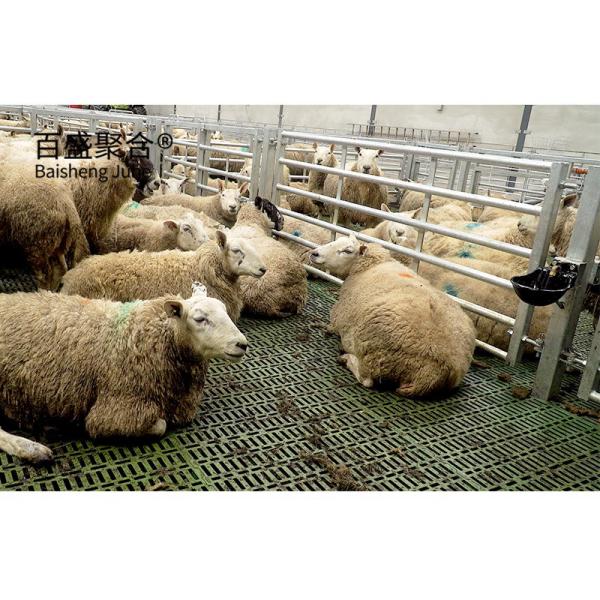 Prefabricated Steel Structure Goat Farming Design Shed House for Q235 Low Carbon