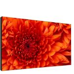 Mall 55 Inch Samsung Frameless Video Wall 2X2 , Information Digital Advertising