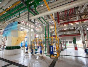 Wholesale Turnkey Edible Oil Extraction Equipment Corn Germ Oil Pressing from china suppliers