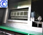 Small Packaging Waste Carton Recycling Machine 80kw Pulp Molding