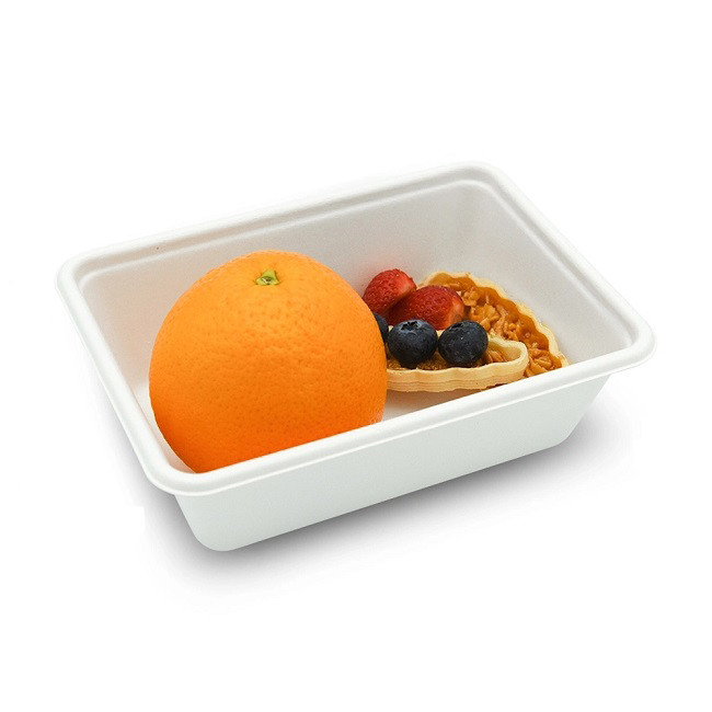Disposable 550ml Sugarcane Bagasse Box Biodegradable Food Container With Lid