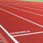 0.90N/mm2 Synthetic Sports Vinyl Flooring Indoor Badminton Courts
