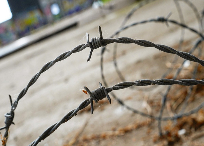 Garden Anti-Theft Anti Climb hot dip Galvanized Barbed Wire Roll