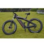 Two Seat Bicycle Electric Kontax ES750 26inch Fat TIire Carbon Fiber E Bike 48V