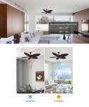 Energy-Saving Big Leaf Blade Industrial Workshop Big Ceiling Fan
