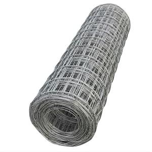 Wholesale Wholesale High Quality 1x1 Hot Dip Galvanized Iron Welded Wire Cloth Mesh / 16 Gaugewelded Mesh Rolls from china suppliers