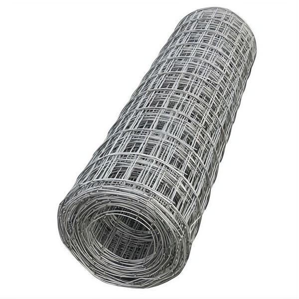 Wholesale High Quality 1x1 Hot Dip Galvanized Iron Welded Wire Cloth Mesh / 16