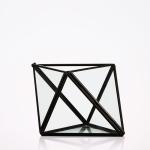 Mini Metal Tabletop Geometric Air Plant Holder , Himmeli Decor Glass Air Plant