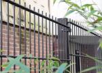 Welded PVC Coated Wire Mesh Panels 50 X 200mm 868 Mesh Fencing