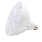 Pentair Hayward 35W E26 Swim Pool Light