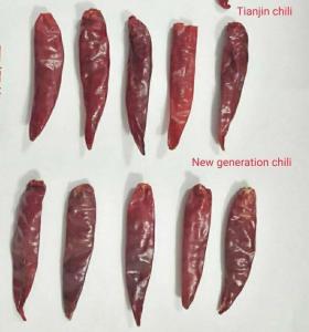 Wholesale 20,000 SHU Dried Chaotian / Sanying Chilli For Cuisine Cooking from china suppliers