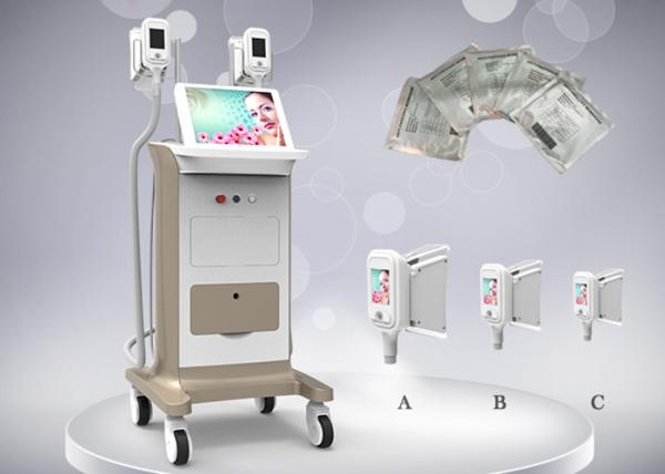 Christmas promotion!!! with 15% discount of this cryolipolysis slimming machine