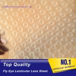 PLASTIC LENTICULAR 3d 360 degrees fly eye film plastic lenticular fly eye lens