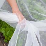 Wholesale Fabrics Anti-Insect Net 100% HDPE Nylon anti-bird net for Agricultural