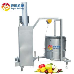 Wholesale Mango Pineapple Tomato Blueberry Juicer with 15%-20% Higher Yield and Extraction Rate from china suppliers