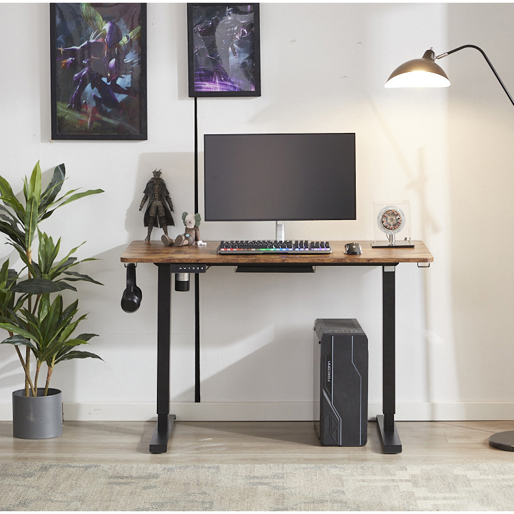 Large Panel Ergonomic Electric Lift Desk Height Adjustable Single Motor Modern Design
