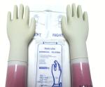 Hospital Sterile Latex Surgical Gloves Powder Free ISO 13485 Approved