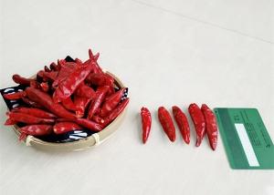 Wholesale Zero Addition Small Red Dried Chillies Premium 10KG Tianjin Peppers from china suppliers