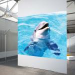 High Contrast White Rear Projection Film 3D Holographic Projection Film For Shop
