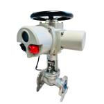 Single Phase 220V Intelligent Electric Actuator Explosion Proof
