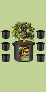 6pcs classic grow bags