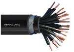 Environmental Protection Control Cable Wire Steel Tape Armoured Cable Copper