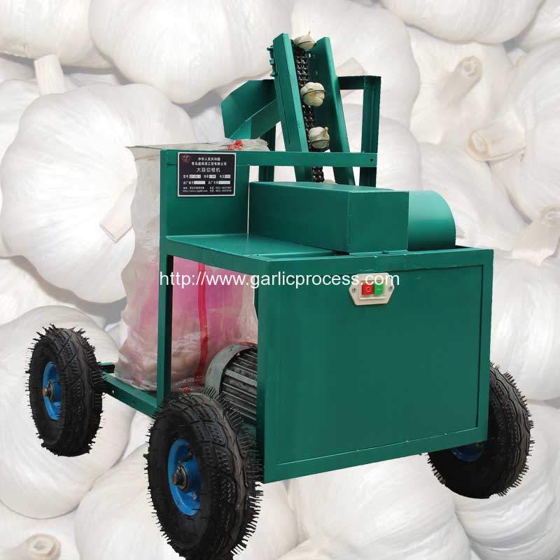 new-type-automatic-fresh-garlic-root-and-leaf-cutting-machine