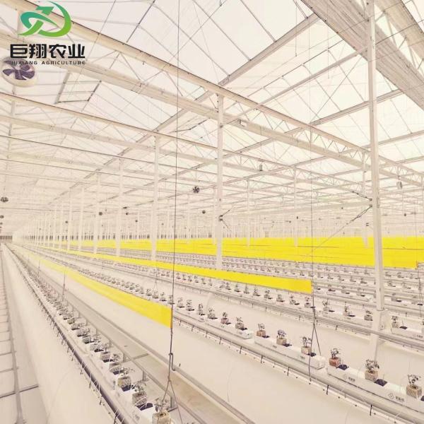 Polycarbonate Sheet Greenhouse Green House Rdgu0808h-10mm with US and Farm