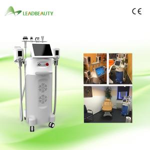 Wholesale Non-invasive Weight Loss Cryolipolysis slimming beauty machine for whole body from china suppliers