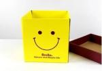 High quality, durable and fashion gift box for delivery