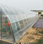 Hot Dip Galvanized Steel Tube Frame Greenhouse Film for Agriculture in 10-100m