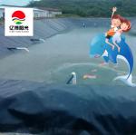 0.5mm 0.75mm HDPE Geomembrane Fish Farm Pond Liner for Aquaculture Smooth