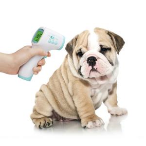 Wholesale FDA Medical Household Digital LCD Fever Thermometer from china suppliers
