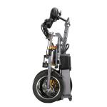 48V 250W Adult Folding Electric Bicycle Three Wheels Lithium 36V 10.4Ah Battery