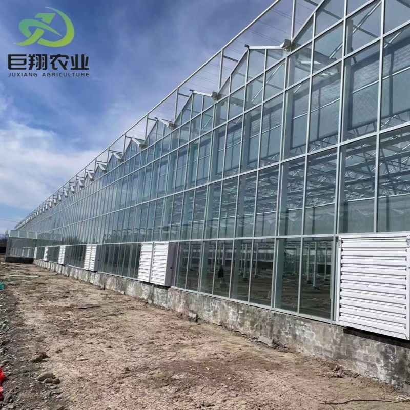 Agriculture Greenhouse Construction Polycarbonate Sheet Covered for Tomatoes