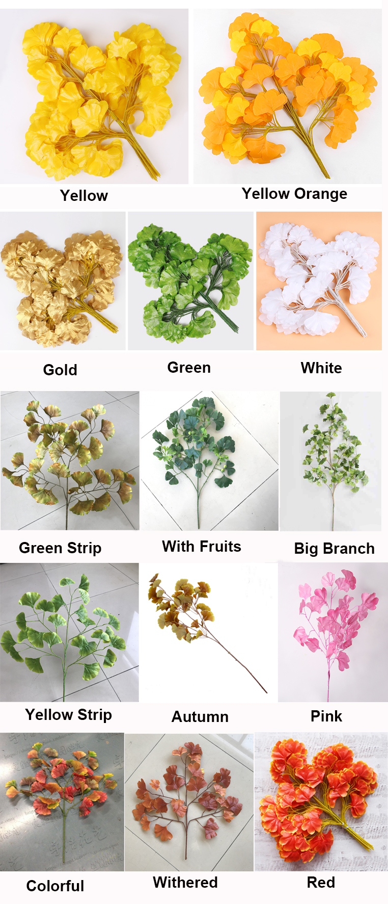 ginkgo.jpg