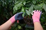 Pink Nylon Seamless Liner Women Gardening Clip Use Sandy Latex Palm Coated