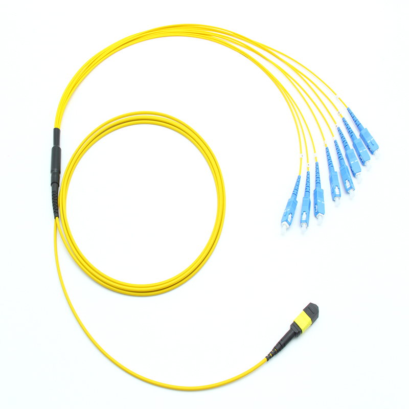MTP Trunk Cable