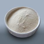 Papaya Papain Enzyme 300USP-6000USP Papaya Extract Protease Powder