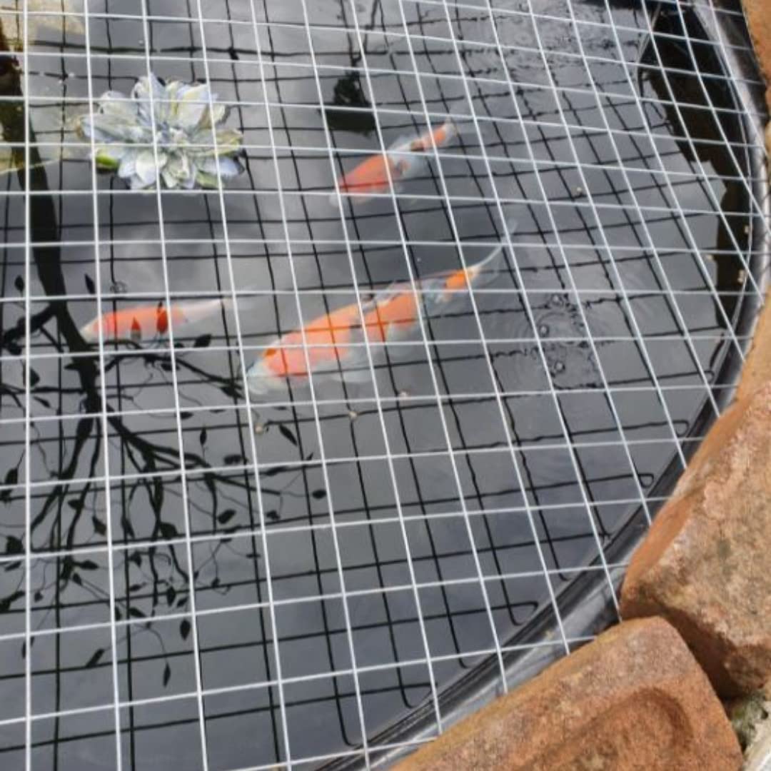 Galvanized Welded Wire Mesh Panel Anping Factory 4mm Welding Square Low Carbon Smooth & Soft Galvanized Steel Wire Silver .etc