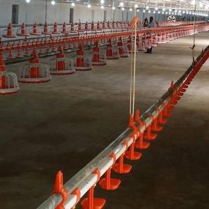 Wholesale Automatic Nipple Drinker Poultry Drinking Line 0.2MPa-0.6MPa from china suppliers
