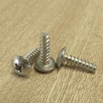 Stainless Steel 304 316 Truss Pan Phillips Umbrella Head Mushroom Head Self