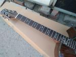 AAAA handmade all Solid ebony wood single cut guitar 14 frets imported wood