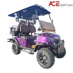 OEM Color Mini Golf Cart Buggy Tour Sightseeing Car CE Approval