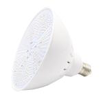 Theme Park 138mm 3800lm Pentair Hayward Light Fixture
