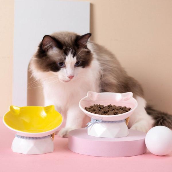 Cat Ears 20 Degree Elevated Tilted Cat Bowls Raised Macaron Color Ceramic Dog